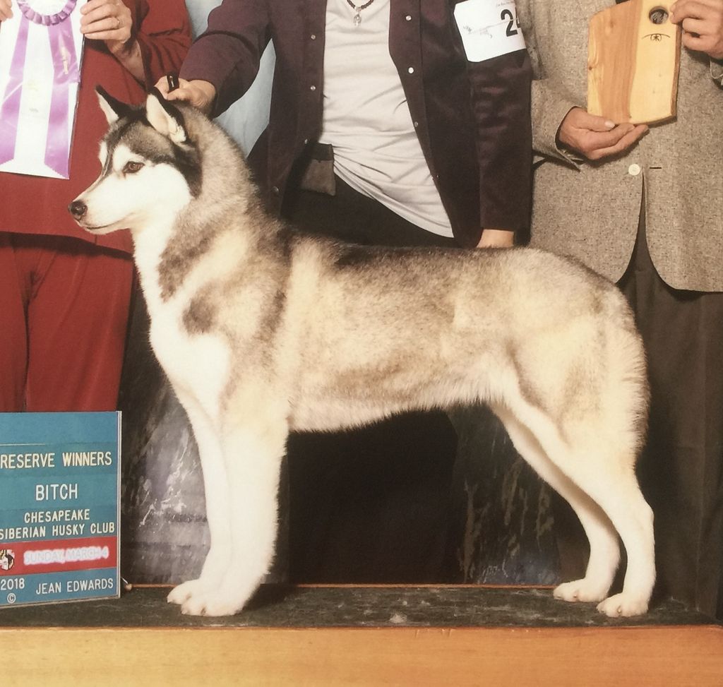 Photo of Bralin’s Seasi Charmed And Dangerous