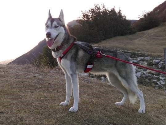 Photo of Eternal Spirit Lexy