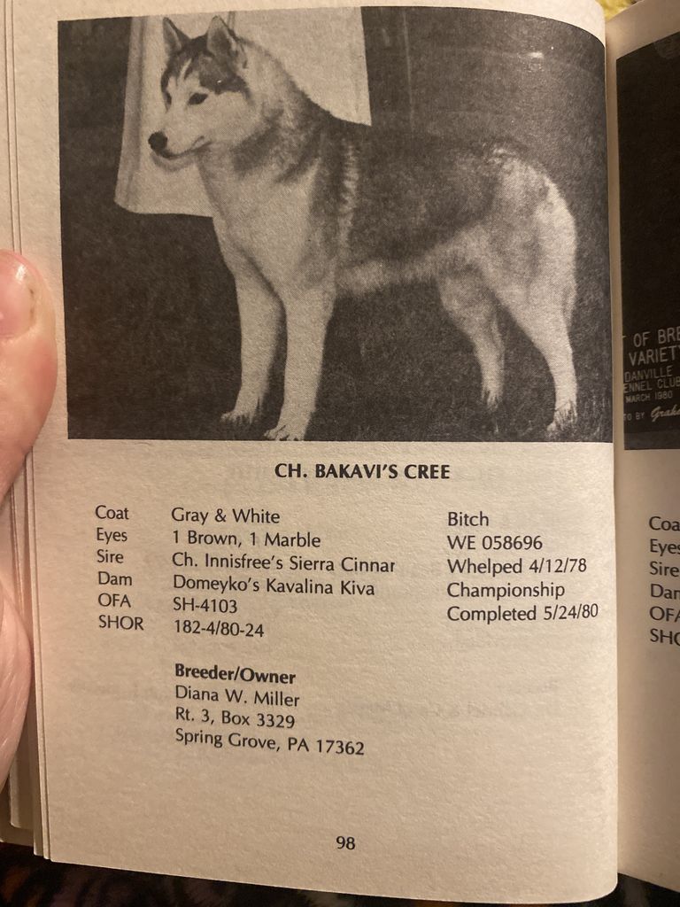Photo of Bakavi’s Cree
