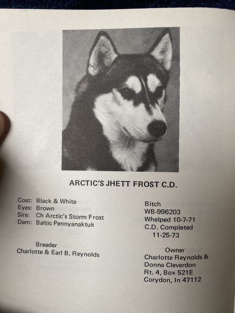 Photo of Arctic’s Jhett Frost