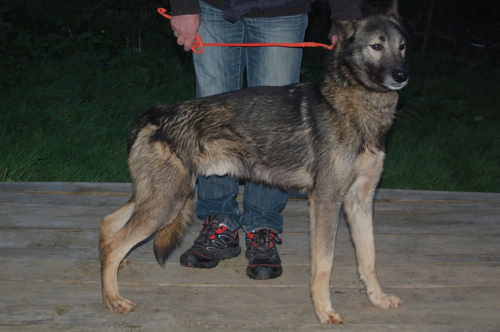 Photo of Ix du Menez des Glaziks