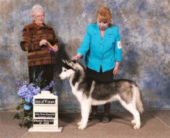 Photo of Wolfwalker’s Black Tux’N Tails