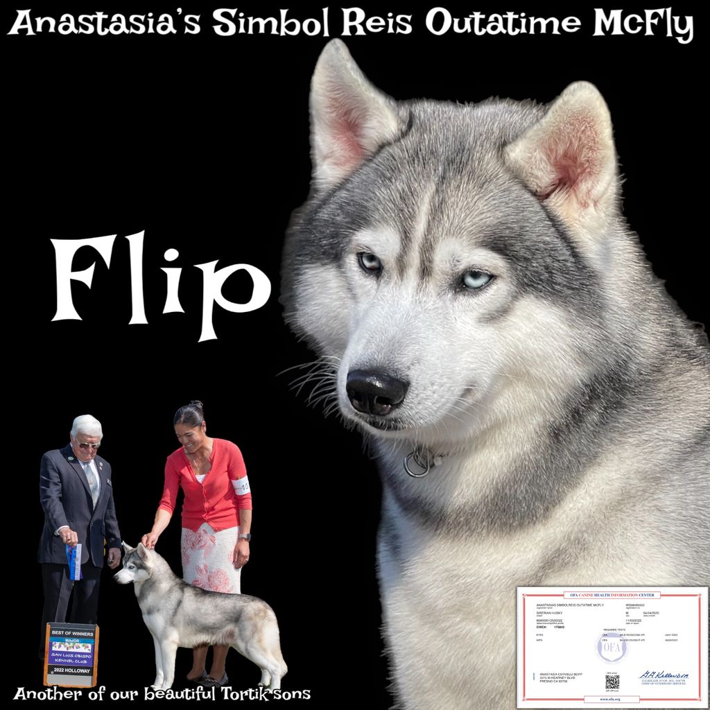 Photo of Anastasias SimbolReis Outatime McFly