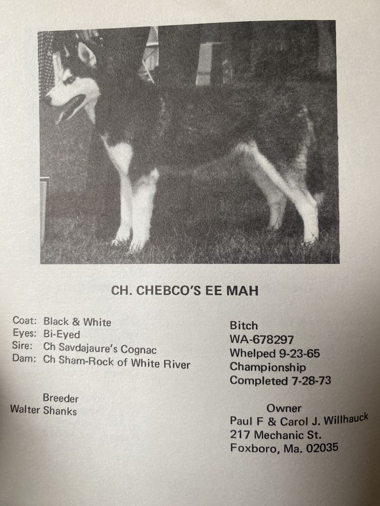 Photo of Chebco’s Eemah
