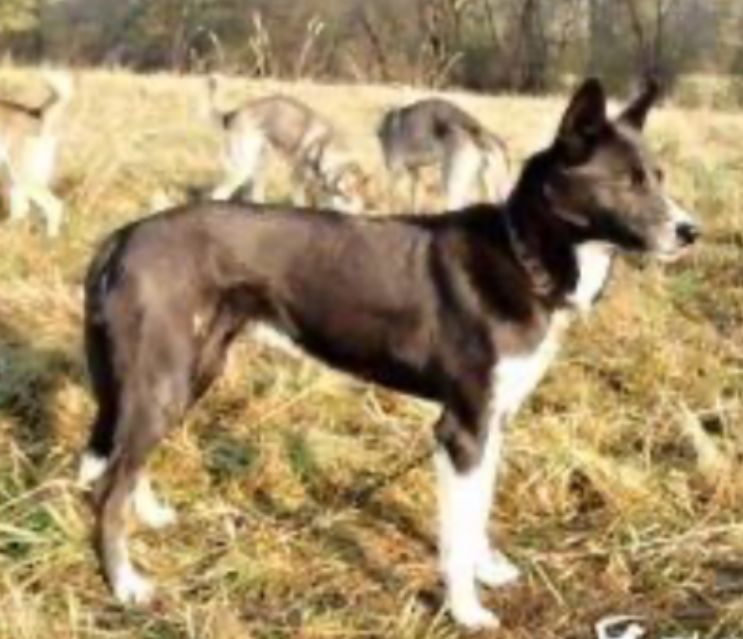 Photo of Reebook’s Indigo Girl
