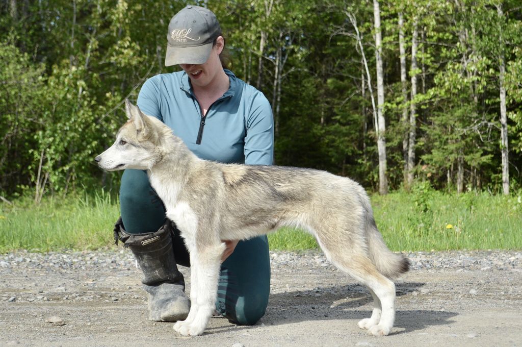 Photo of Brokentrails Guinevere of Tanessa