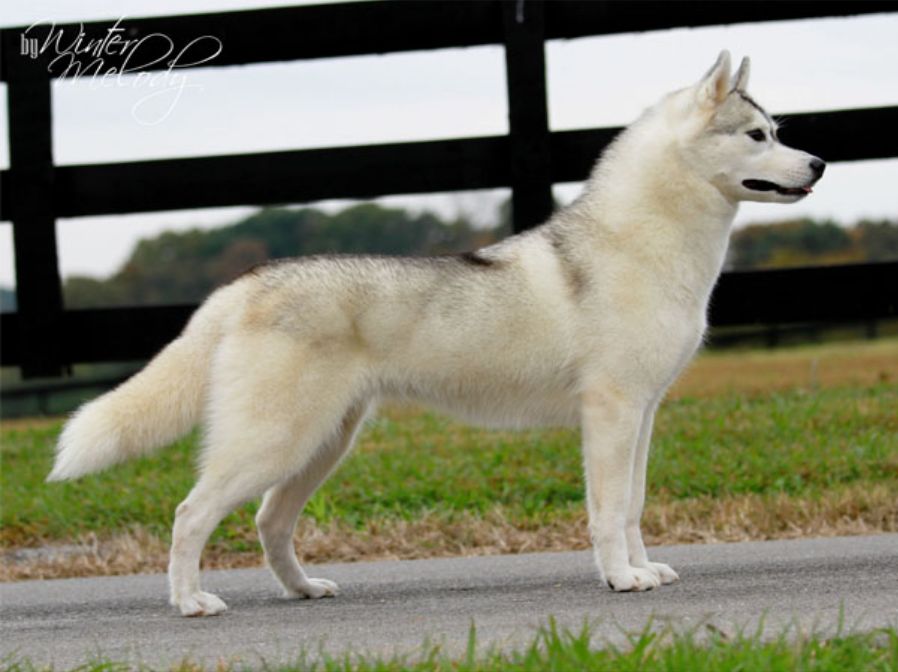 Photo of Kristari’s Twix