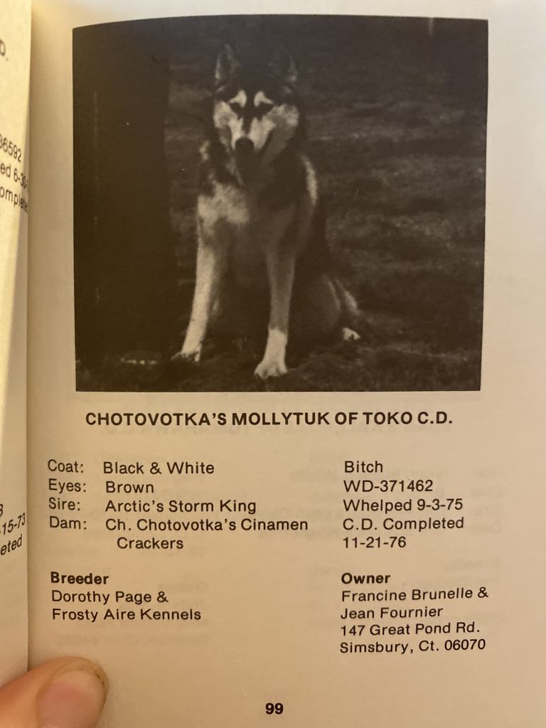 Photo of Chotovotka’s Mollytuk of Toko