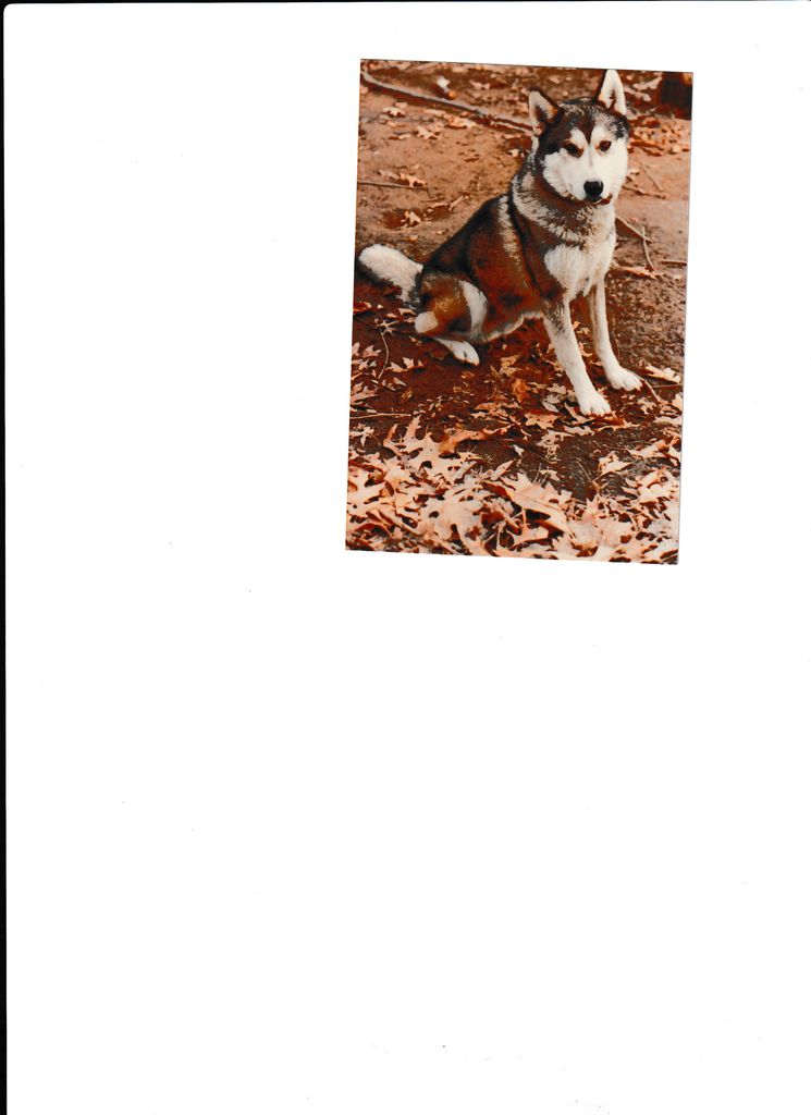 Photo of Dutto Of Markovo