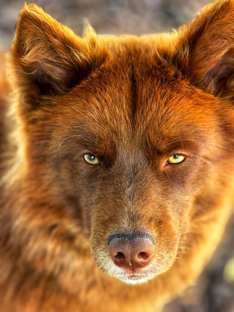 Photo of Zeus wise
