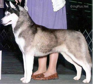 Photo of Karasmova’s Chynna