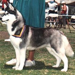 Photo of Kaila's Kinda Katta