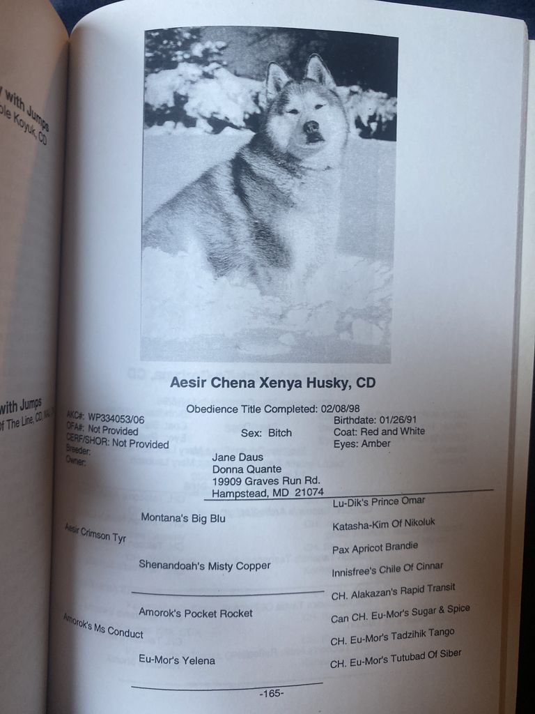 Photo of Aesir Chena Xenya Husky