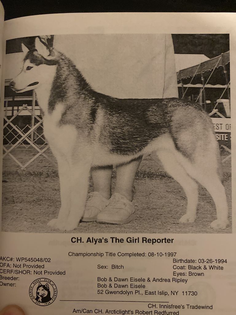 Photo of Alya’s The Girl Reporter