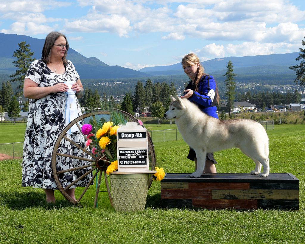 Photo of Reigning In It To Win It