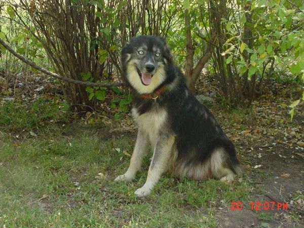 Photo of C-Bar Country Bonnie