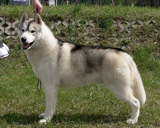 Photo of Special One Of Wolf Point