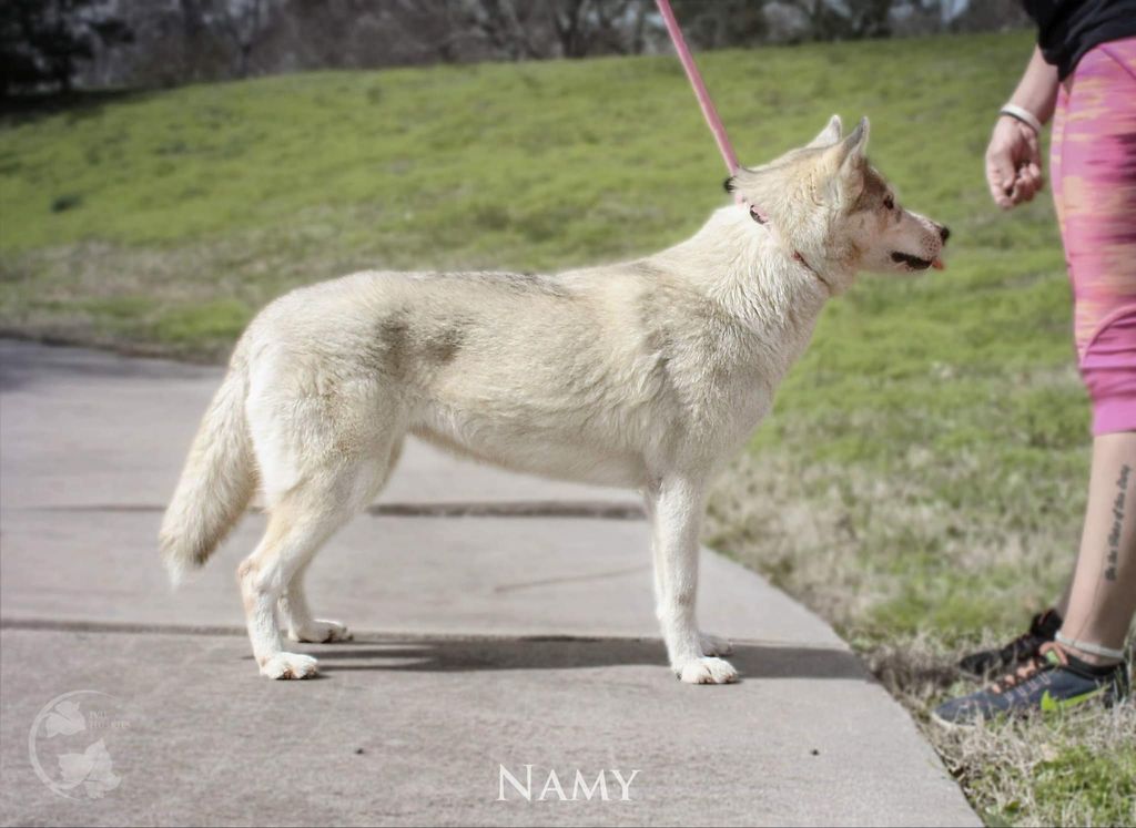 Photo of Namy (JST)