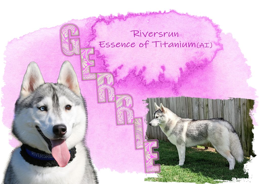Photo of Riversrun Essence Of Titanium (AI)