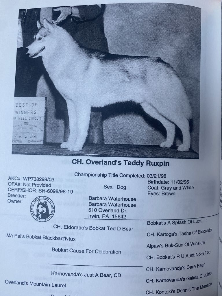 Photo of Overland’s Teddy Ruxpin