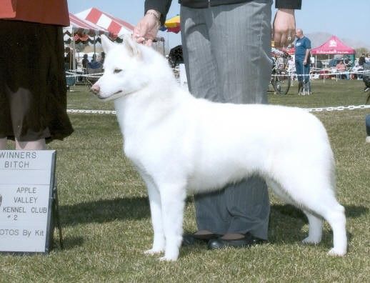 Photo of Alpine’s Pride And Prejudice