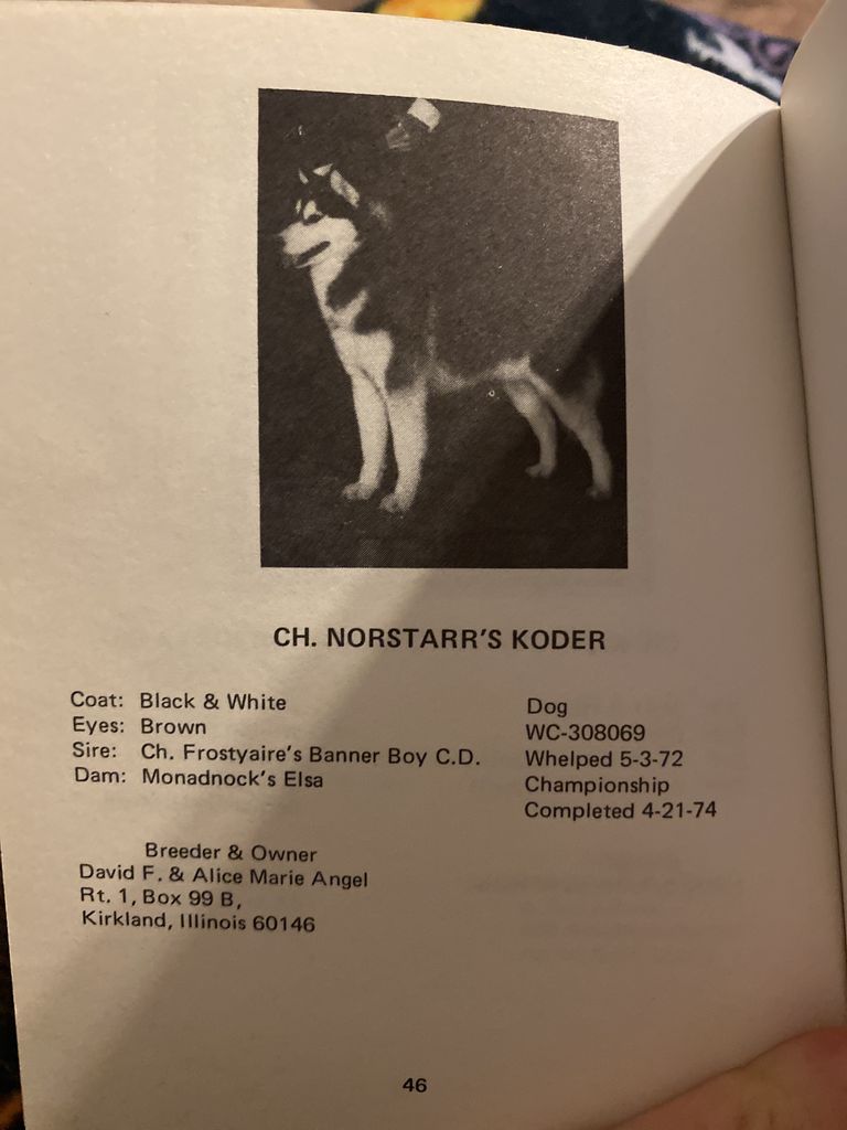 Photo of Norstarr’s Koder