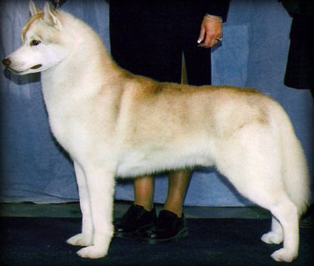 Photo of Zuska’s Tobotuk Lodestar