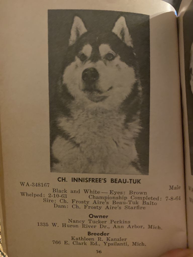 Photo of Innisfree’s Beau-Tuk