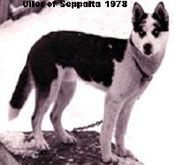 Photo of Uller Of Sepp-Alta
