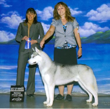 Photo of Husker Du’s Trail Of The Zephyr