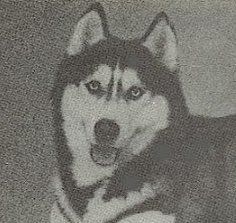 Photo of Pax’ Gih of Holokai