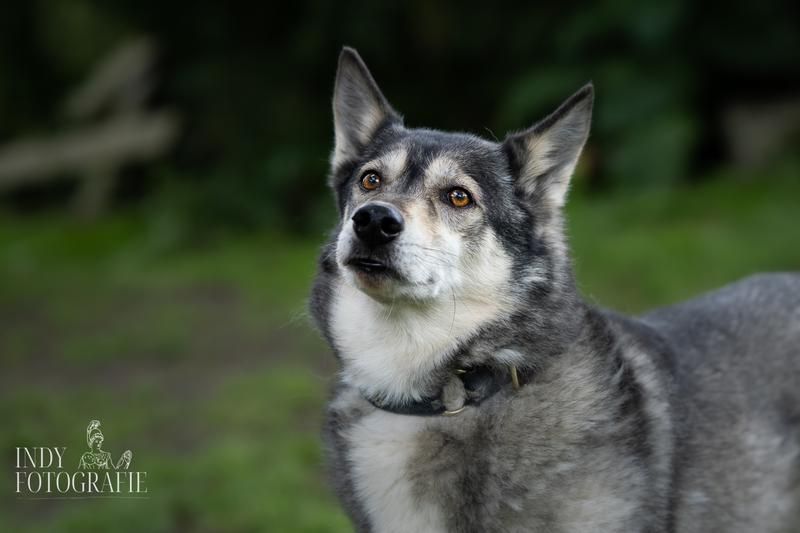 Photo of Shasta Griffin’s Pride