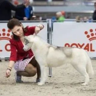 Photo of Svobodnaya Staya Go To Win Filadelfia