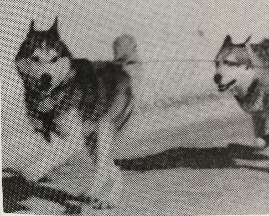 Photo of Duchess Of Cold River
