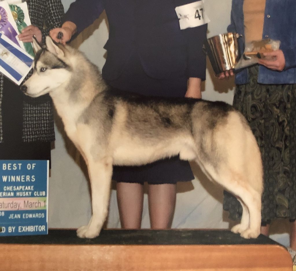 Photo of Bralin’s Simon Says