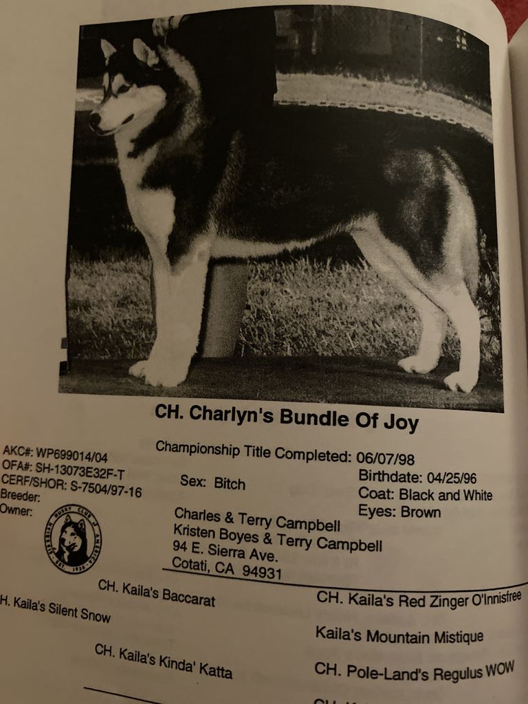 Photo of Charlyn’s Bundle Of Joy
