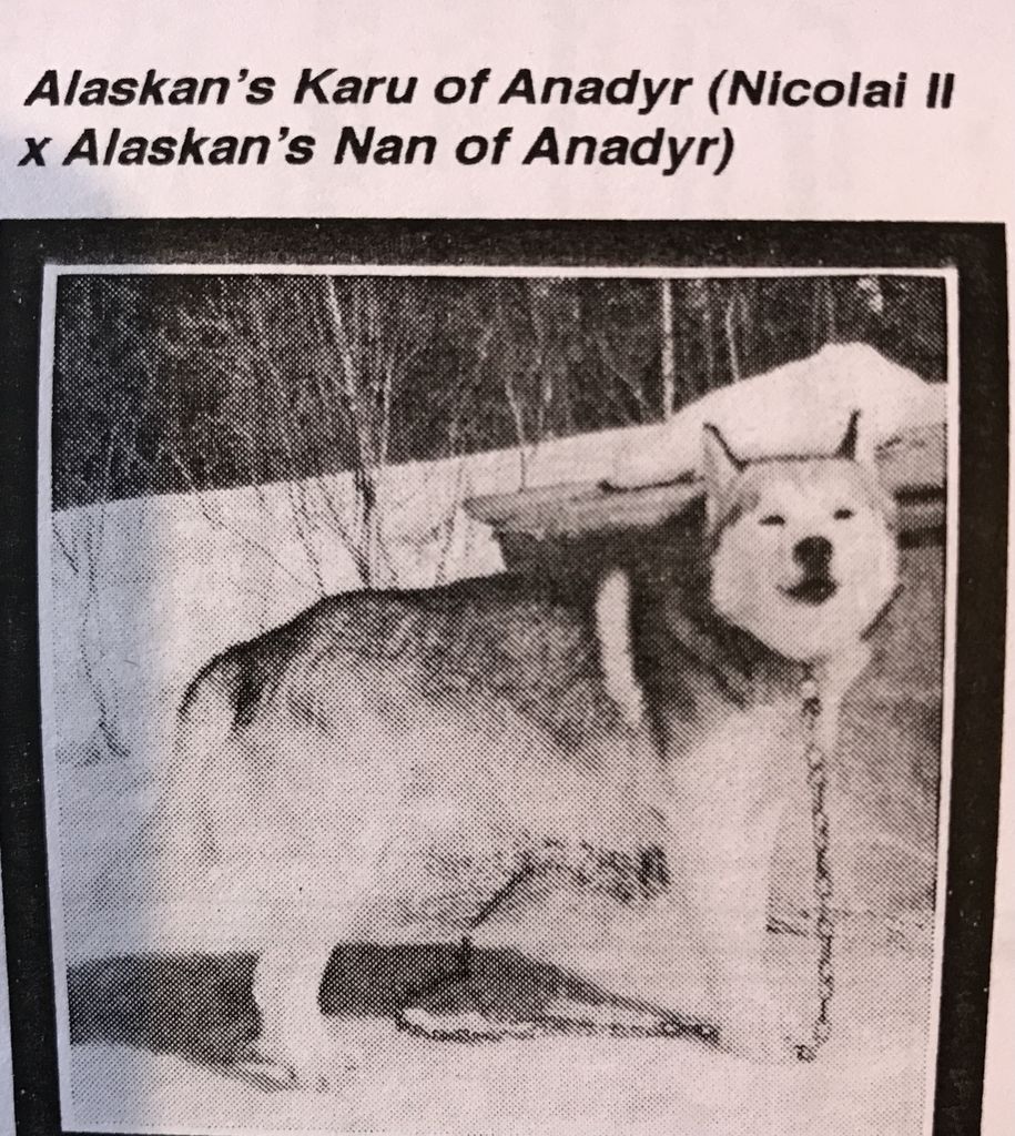 Photo of Alaskan’s Karu Of Anadyr