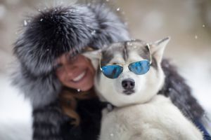 Photo of Husky Haven Tiffany Blue Star