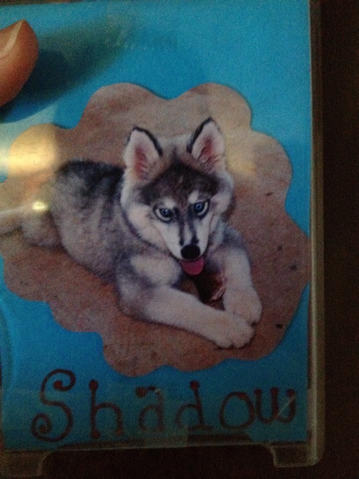 Photo of Wild Hearts Shadow Dancer