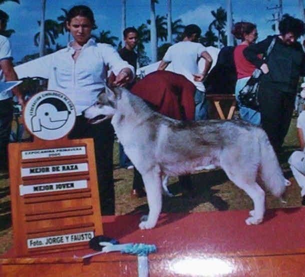 Photo of Ivo Zar de la India