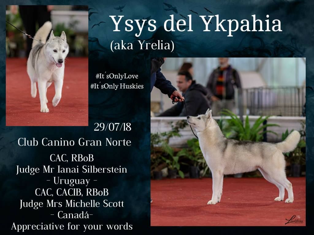 Photo of Ysys del Ykpahia