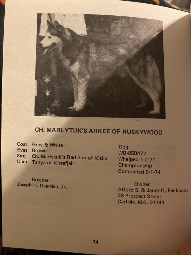 Photo of Marlytuk’s Ahkee Of Huskywood