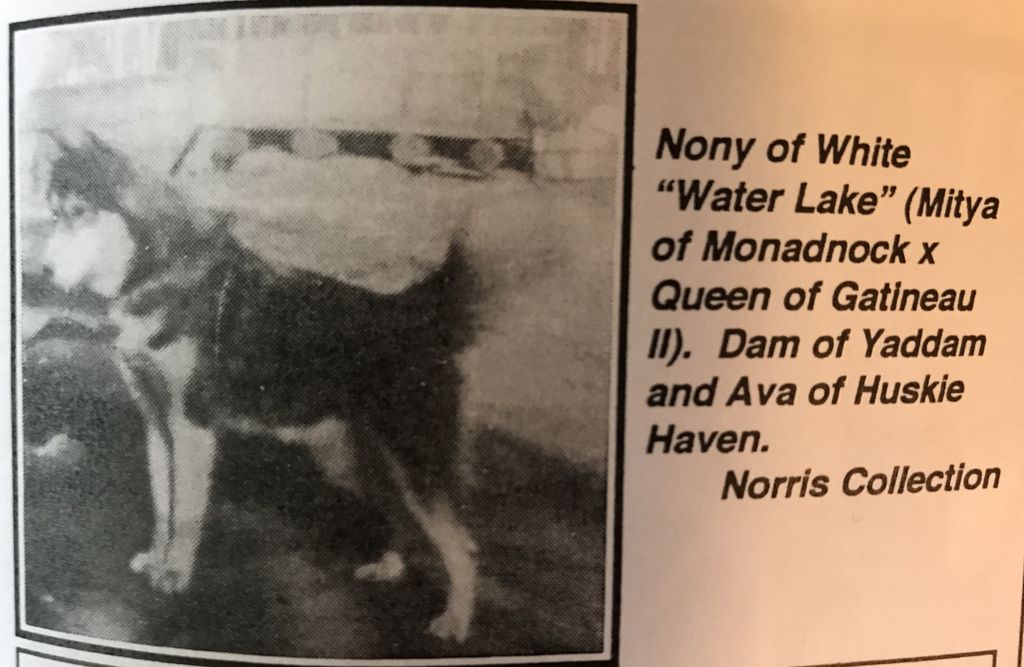 Photo of Nony Of White