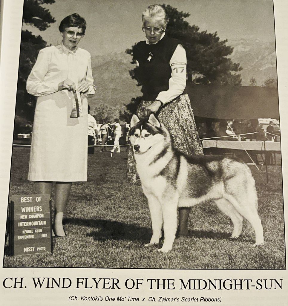 Photo of Wind Flyer Of The Midnight Sun