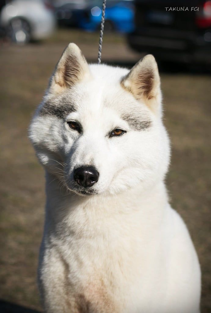 Photo of Takuna Dakota