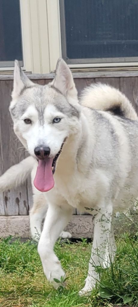 Photo of Ungayok’s Ziba