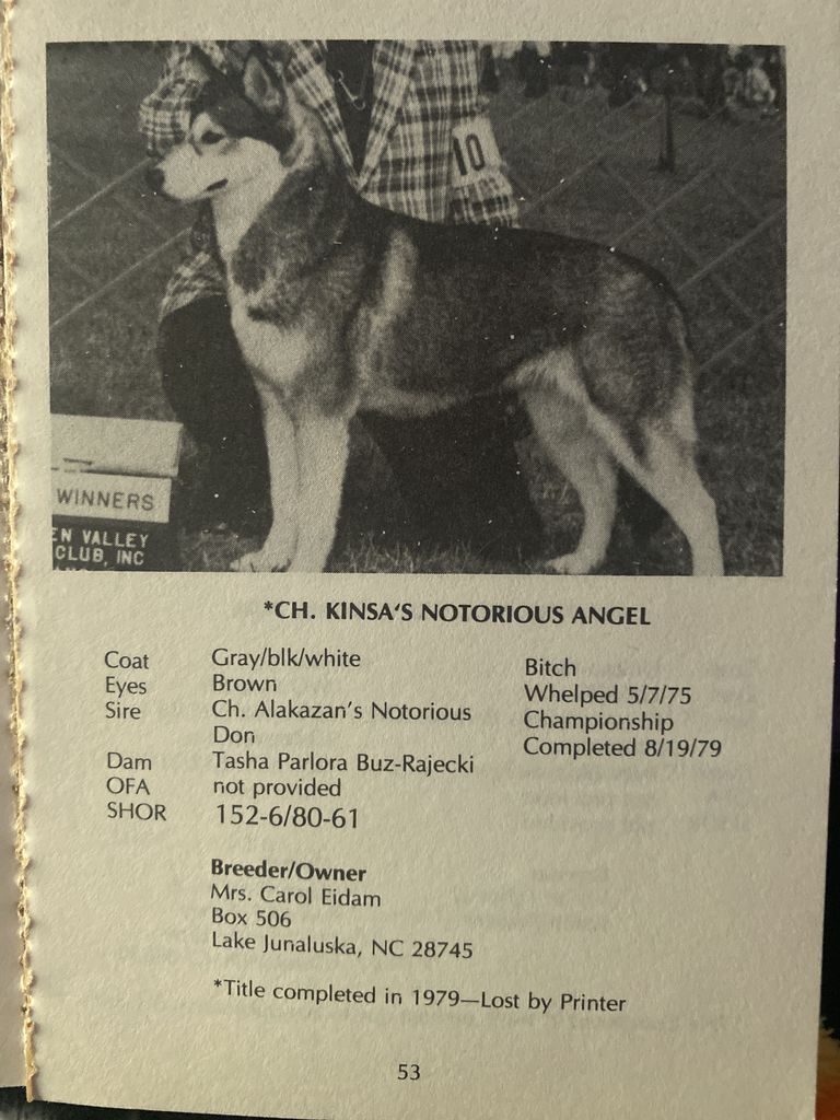 Photo of Kinsa’s Notorious Angel