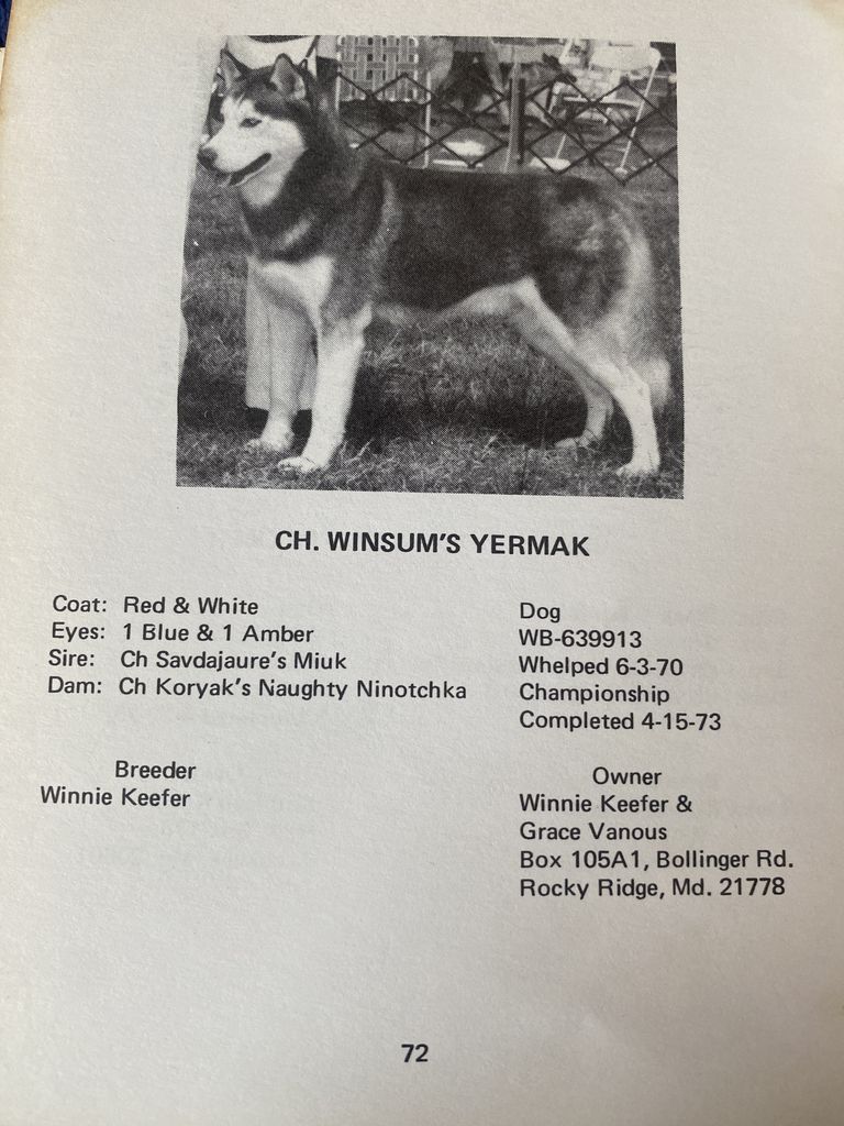 Photo of Winsum’s Yermak