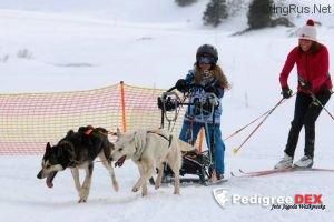 Photo of Sky Runner Matcho