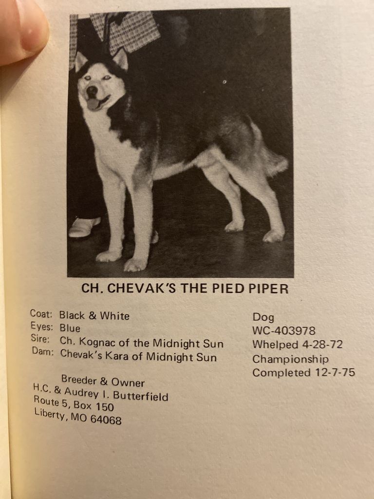 Photo of Chevak’s The Pied Piper